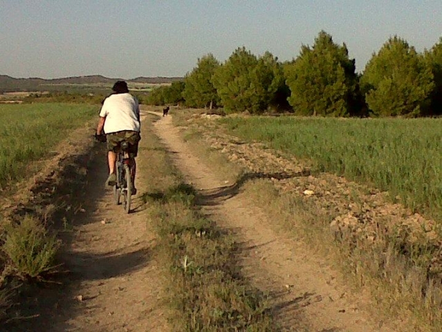 Ruta a los yacimientos